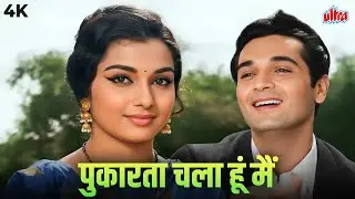 एक आवाज़ जो हर गली में मोहब्बत तलाशती रही! | मोहम्मद रफ़ी की दिल को छू लेने वाली आवाज़