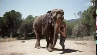 La ajetreada vida de &lsquo;Dumba&rsquo;