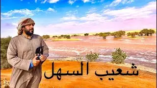 مكشات وتغطيات للأمطار