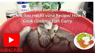 Koi Mach jhol Recipe/ Bangladeshi কই মাছ (koi mach) vuna Recipe/ How to Cook climbing Fish Curry