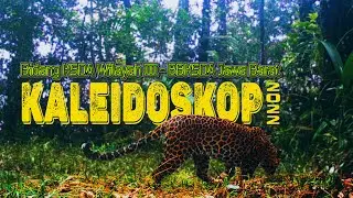 Kaleidoskop Bidang KSDA Wilayah III - BBKSDA Jawa Barat