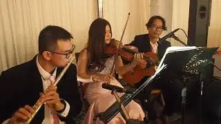 Dinner Party - Wedding Ceremony Romantic Valentine Hotel Beach Villa Anniversary Phuket Krabi Samui