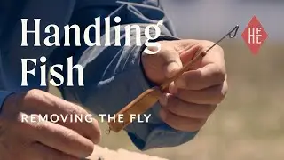 Handling Fish: Removing the Fly