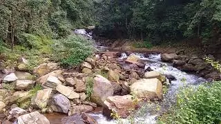 Charmady Ghat water stream - 2