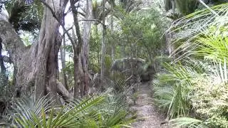 Hike from Whangapoua to New Chums Beach
