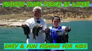 Perch in Lakes: Easy & Fun Fishing for Kids (Great Summer Fun!)