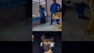 𝐀𝐧𝐠𝐫𝐲 𝐁𝐞𝐧𝐠𝐚𝐥 𝐓𝐢𝐠𝐞𝐫 𝐒𝐜𝐚𝐫𝐞𝐝 𝐀 𝐆𝐢𝐫𝐥 🔥🦁😱