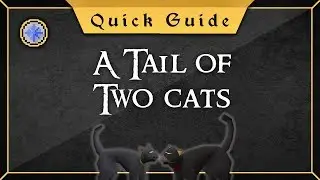 [Quick Guide] A tail of two cats