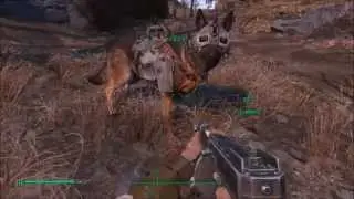 Fallout 4 - Where To Find Armor For Your Dog [Tutorial][HD]