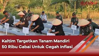 Kaltim Targetkan Tanam Mandiri 50 Ribu Cabai Untuk Cegah Inflasi | Berita Antara Terkini