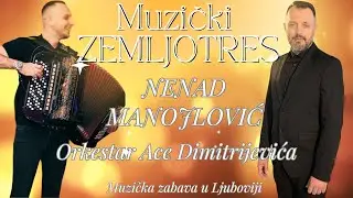 NENAD MANOJLOVIC I ORKESTAR ACE DIMITRIJEVICA ( MUZICKI ZEMLJOTRES )