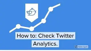 How To Check Twitter Analytics