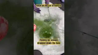 Ice Fishing for scoops on Lac St Anne, Alberta 2026