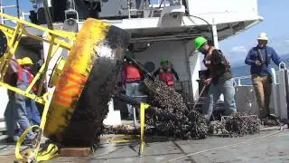 Retrieving Sitka - An Ocean Observing Mooring