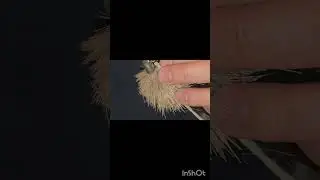 Ultimate Jig Mouse Tying &ndash; 6/0 Jig Head, Predator Killer