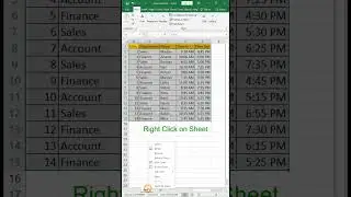 Row Highlight in Excel | Excel Magic Tips and Tricks for Row Highlight #excelmagictips #excelrow