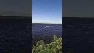 Побережье Оби #travel #shorts #river #ob #ямал #россия #north #рекомендации #nature #russia #nature