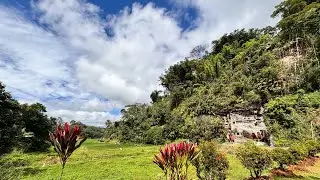 360 4K - Lemo, Tana Toraja, South Sulawesi (Faithful Travellers) V2