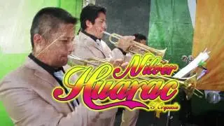 GRAN FIESTA SELVATICA - SONIDO 2000