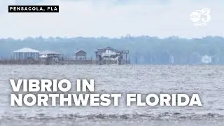 Lack of public health alerts for vibrio vulnificus in Northwest Florida cause frustration