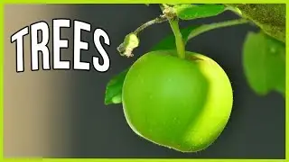 Stark Bro's Nurseries Fruit Tree Replacement