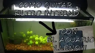 Como QUITAR FILTRO INTERNO ( Bio Box 2) con el acuario LLENO!!