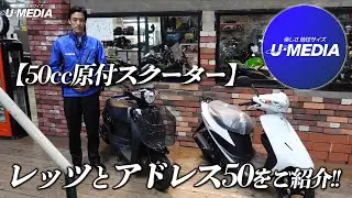 【50㏄原付スクーター】レッツとアドレス50をご紹介！入荷状況も合わせてご紹介します！ユーメディア横浜青葉