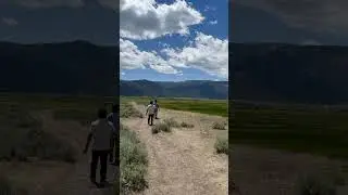 Hiking Through the Unspoiled Beauty of Lamar Valley