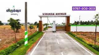 Viruksha Avenue Tirupur - Land sale in Dharapuram Road near angel college - Gated community plots