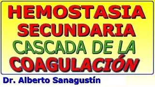 Hemostasia secundaria: cascada de la coagulación