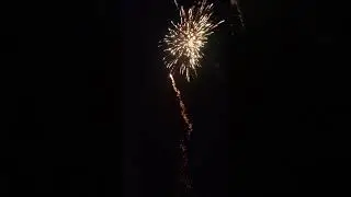 Dancing Lady 25sh Batterie  (Mega Fireworks)               #silvester #feuerwerk #batterie #neujahr