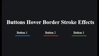 Buttons Hover Border Stroke Effects