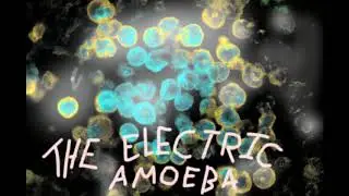 ED24 - The Electric Amoeba