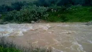 واد شبتين 2010