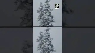 J&K: Heavy snowfall continues on Mughal Road and Pir Panjal Range in Poonch