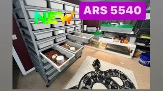 NEW ARS 5540  snake  rack - The Best for BALL PYTHONS??