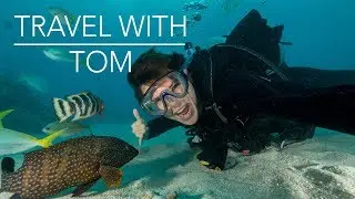 Underwater Vlog on the Great Barrier Reef