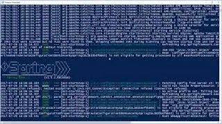 Docker Tomcat WAR file