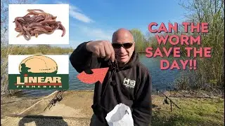 Carp fishing a oxfordshire gravel pit, can the worms save the day??