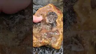 Huge WA state Carnelian!! #agate #rockhounding #carnelian #pnw #fyp