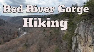 Red River Gorge Hiking . Auxier Ridge Loop: Double arch, Courthouse Rock