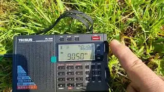 Tecsun PL-330 88-108Mhz FM scanning with longwire 20m mini jack 3,5mm plug