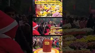 flower exhibition in bhu 2024 | bhu flower exhibition | flower show 2024 |pushp pradarshani bhu 2024