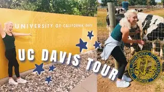 UC Davis Vlog | Campus Tour, Downtown, +more!