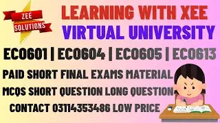 ECO601 | ECO604 | ECO605 | ECO613 Paid Short Final Exams Material Virtual University of Pakistan