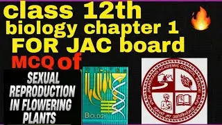 Class 12 chapter 1 multiple choice questions #sexual reproduction in flowering planr#