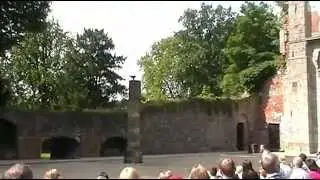 Pairi Daiza - Les rapaces