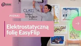 Folia elektrostatyczna EasyFlip Leitz