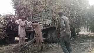 Tractor trali tar rad sy khenchi| Tractor trali gana load 