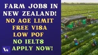Farm Jobs in New Zealand - Free work visa sponsorship ($0 Application fees)